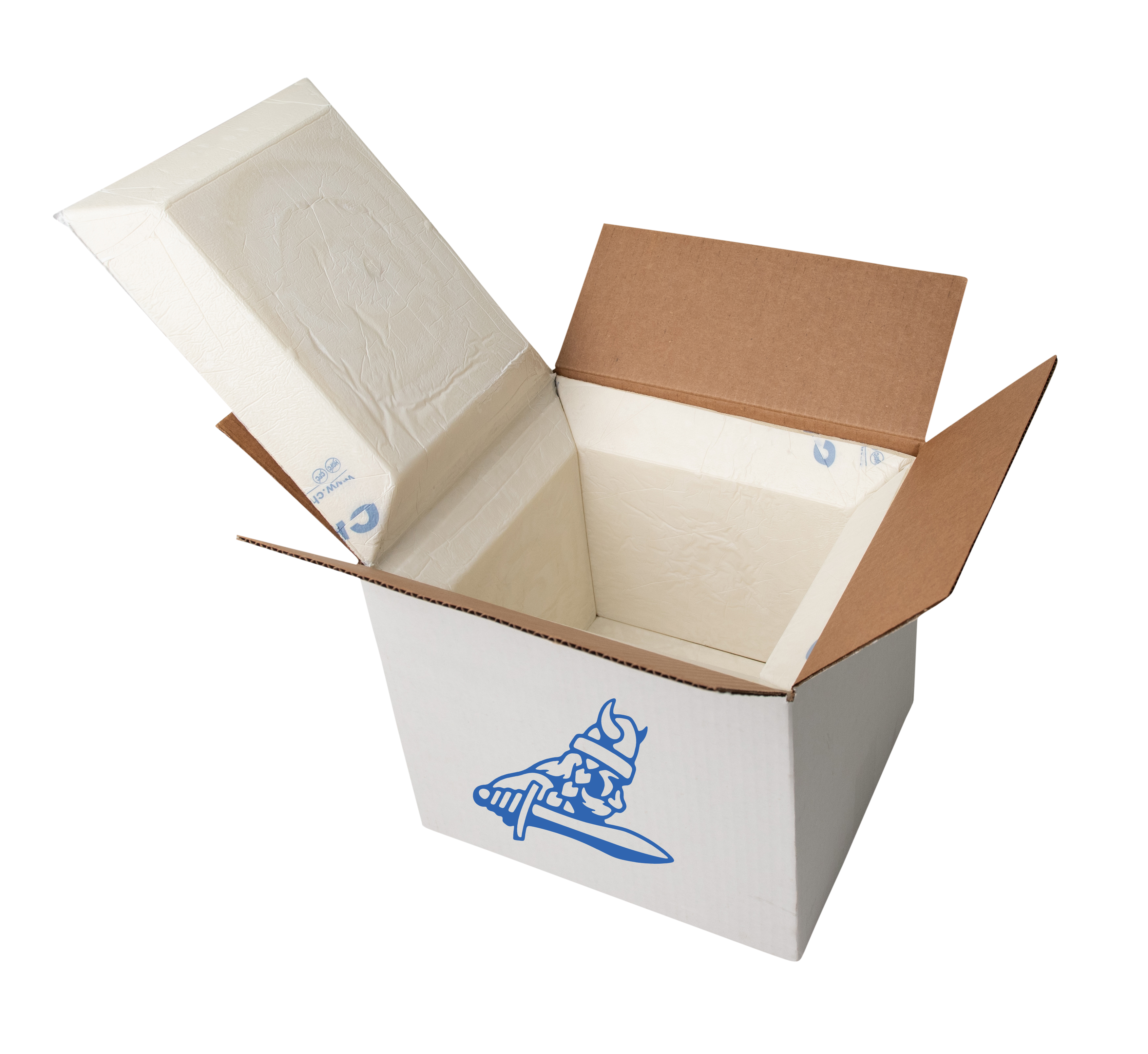  Cold Insulated Styrofoam Shipping Box + Gel Packs : Office  Products