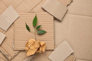 Green plant and crumpled paper on carton